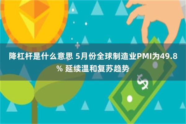 降杠杆是什么意思 5月份全球制造业PMI为49.8% 延续温和复苏趋势