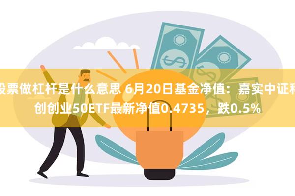 股票做杠杆是什么意思 6月20日基金净值：嘉实中证科创创业50ETF最新净值0.4735，跌0.5%