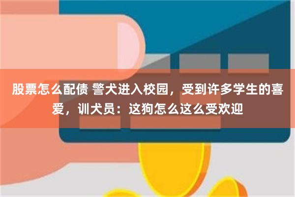 股票怎么配债 警犬进入校园，受到许多学生的喜爱，训犬员：这狗怎么这么受欢迎