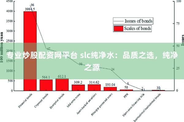 专业炒股配资网平台 slc纯净水：品质之选，纯净之源