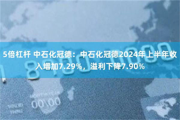 5倍杠杆 中石化冠德：中石化冠德2024年上半年收入增加7.29%，溢利下降7.90%