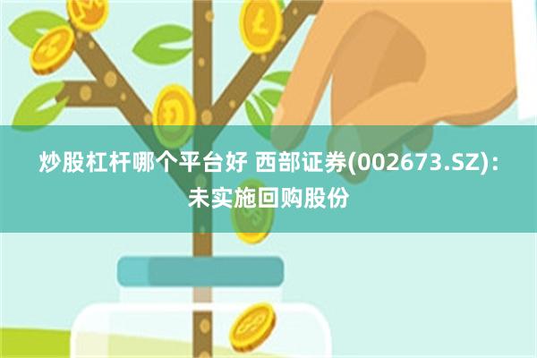 炒股杠杆哪个平台好 西部证券(002673.SZ)：未实施回购股份