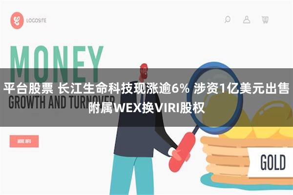 平台股票 长江生命科技现涨逾6% 涉资1亿美元出售附属WEX换VIRI股权