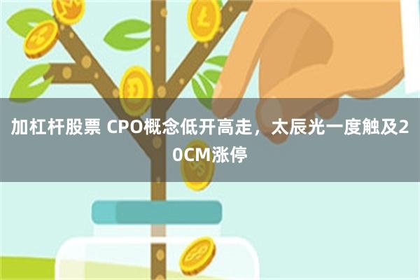 加杠杆股票 CPO概念低开高走，太辰光一度触及20CM涨停