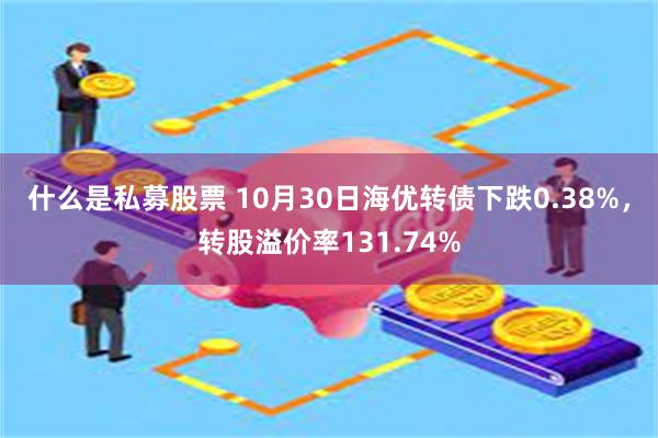 什么是私募股票 10月30日海优转债下跌0.38%，转股溢价率131.74%