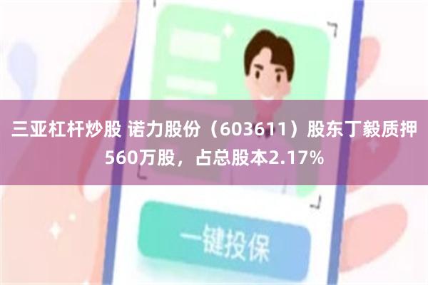 三亚杠杆炒股 诺力股份（603611）股东丁毅质押560万股，占总股本2.17%