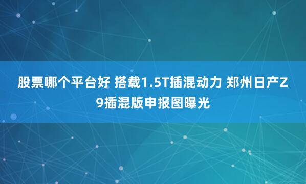 股票哪个平台好 搭载1.5T插混动力 郑州日产Z9插混版申报图曝光