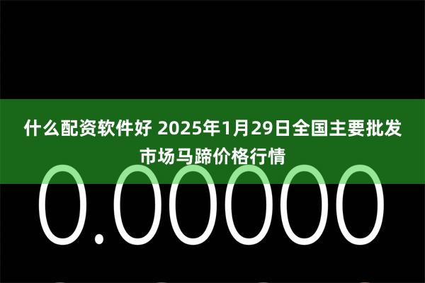 什么配资软件好 2025年1月29日全国主要批发市场马蹄价格行情