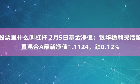 股票里什么叫杠杆 2月5日基金净值：银华稳利灵活配置混合A最新净值1.1124，跌0.12%