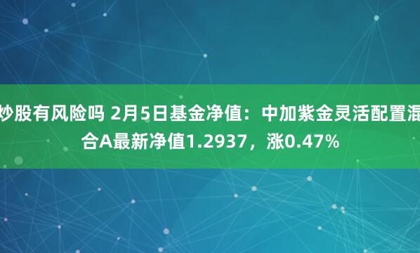 炒股有风险吗 2月5日基金净值：中加紫金灵活配置混合A最新净值1.2937，涨0.47%