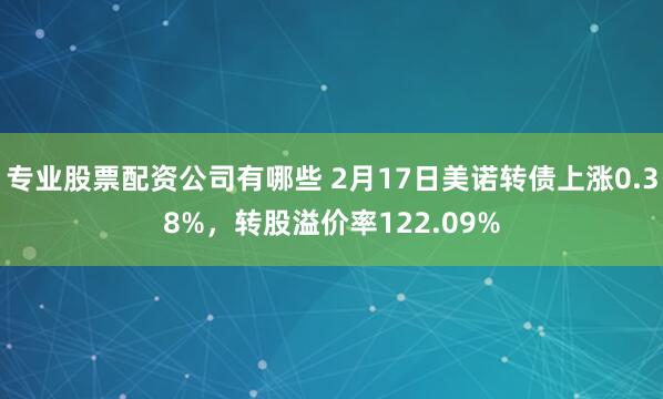 专业股票配资公司有哪些 2月17日美诺转债上涨0.38%，转股溢价率122.09%