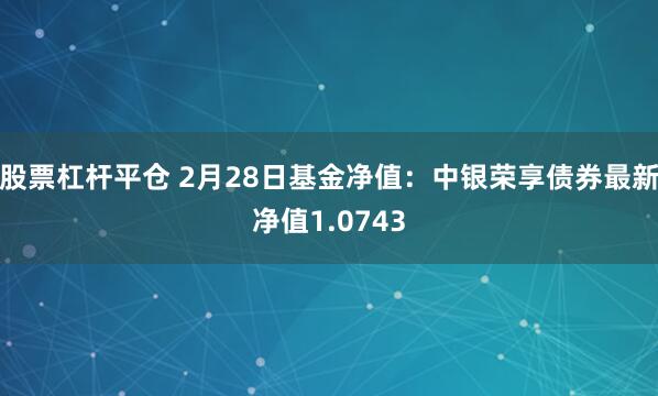 股票杠杆平仓 2月28日基金净值：中银荣享债券最新净值1.0743