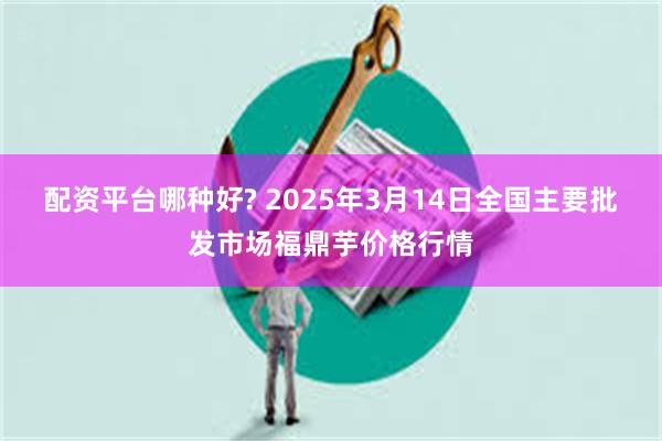 配资平台哪种好? 2025年3月14日全国主要批发市场福鼎芋价格行情